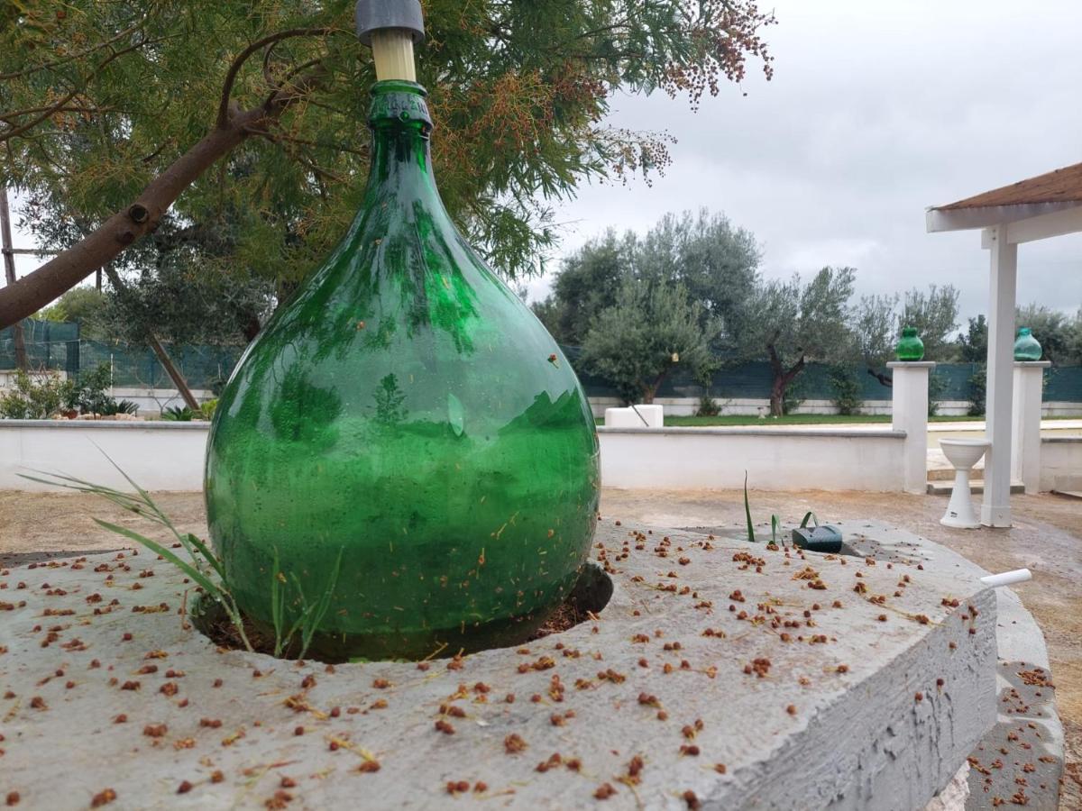 Il Vecchio Carrubo - Villa Con Piscina A Sfioro Macchia di Monte Exterior foto